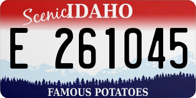 ID license plate E261045