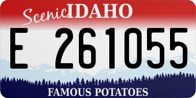 ID license plate E261055
