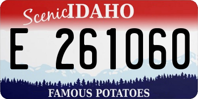 ID license plate E261060