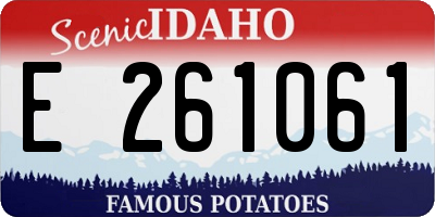 ID license plate E261061