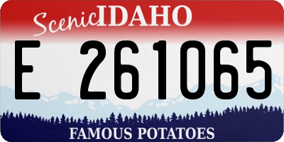 ID license plate E261065