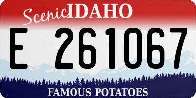 ID license plate E261067