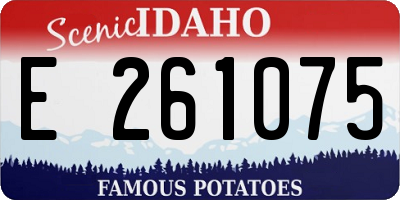 ID license plate E261075