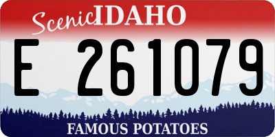 ID license plate E261079