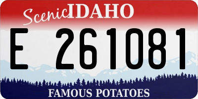 ID license plate E261081