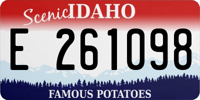 ID license plate E261098