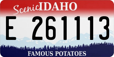 ID license plate E261113