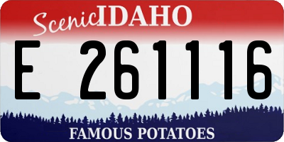 ID license plate E261116