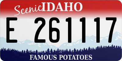 ID license plate E261117