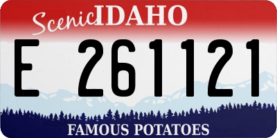 ID license plate E261121