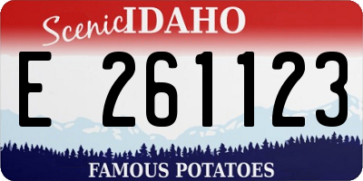 ID license plate E261123