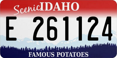 ID license plate E261124