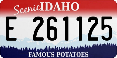 ID license plate E261125