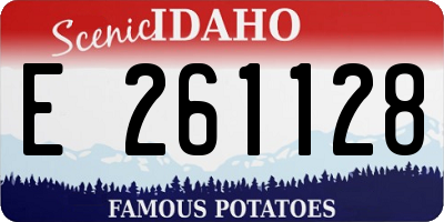 ID license plate E261128