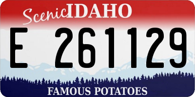ID license plate E261129