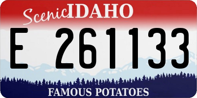 ID license plate E261133
