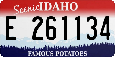 ID license plate E261134
