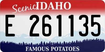 ID license plate E261135