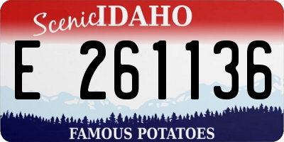 ID license plate E261136