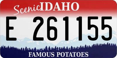 ID license plate E261155