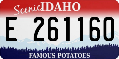 ID license plate E261160