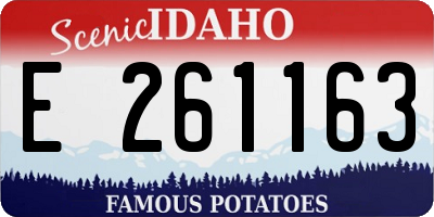 ID license plate E261163