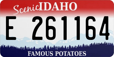ID license plate E261164
