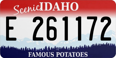 ID license plate E261172