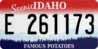 ID license plate E261173