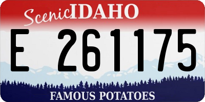 ID license plate E261175