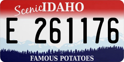 ID license plate E261176