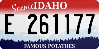 ID license plate E261177