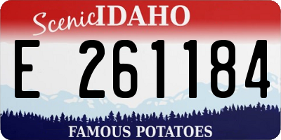 ID license plate E261184