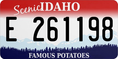 ID license plate E261198