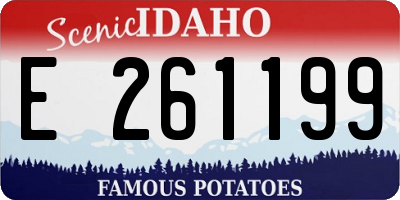 ID license plate E261199
