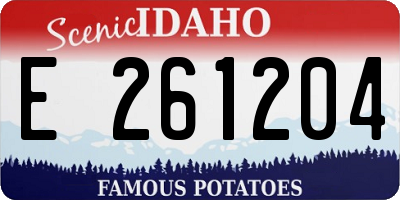 ID license plate E261204