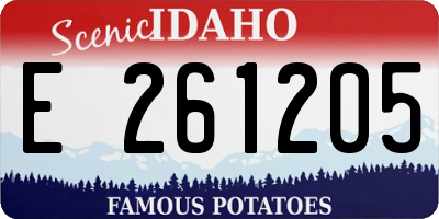 ID license plate E261205