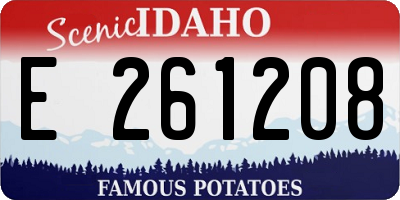 ID license plate E261208