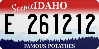 ID license plate E261212