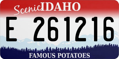 ID license plate E261216