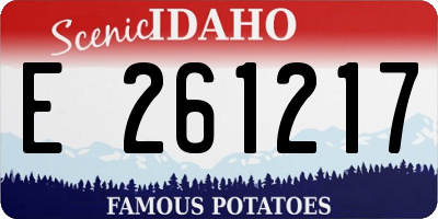 ID license plate E261217