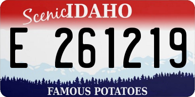 ID license plate E261219