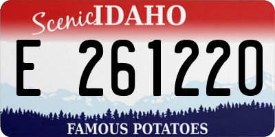 ID license plate E261220