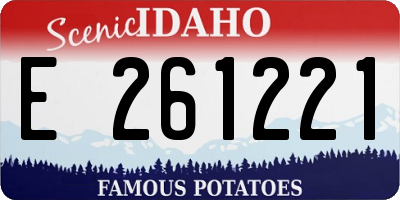 ID license plate E261221