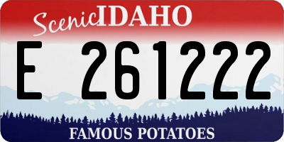 ID license plate E261222