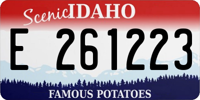 ID license plate E261223