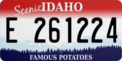 ID license plate E261224