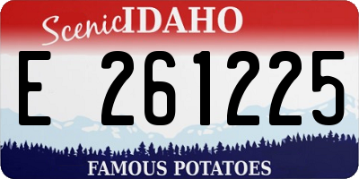 ID license plate E261225
