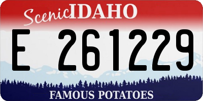 ID license plate E261229