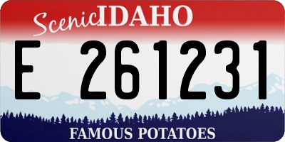ID license plate E261231